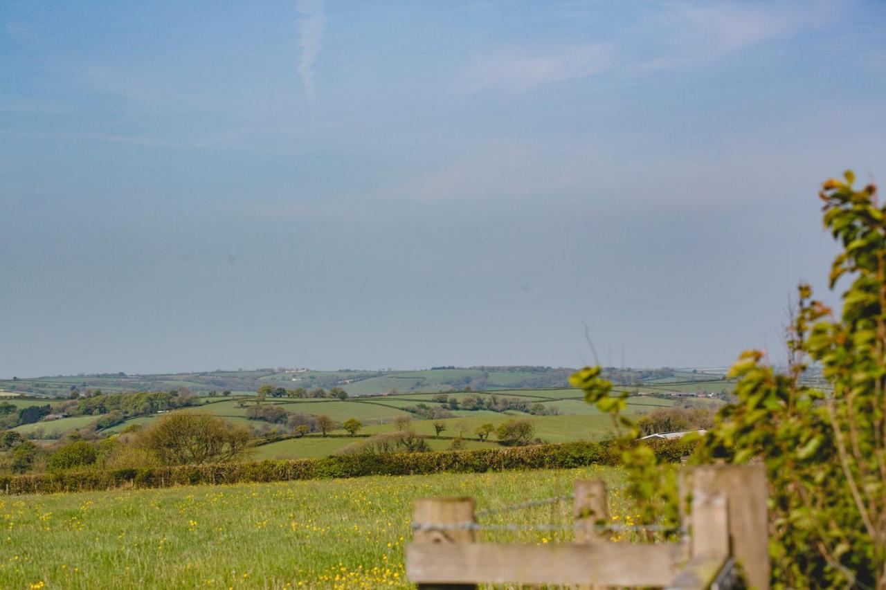 Maes Y Mel- A Couples, Pet Friendly, Rural Romantic Getaway With Countryside Views Gellywen Екстер'єр фото